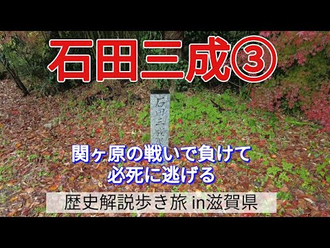 【石田三成③】関ヶ原の戦いで負けて、必死に逃げる