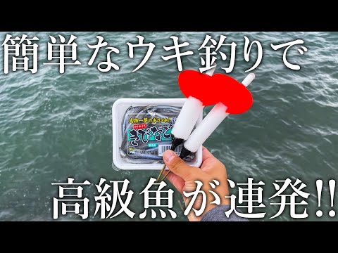 堤防から高級魚が入れ食い！足元でハタや根魚が湧くように釣れる簡単ウキ釣り仕掛けを紹介します