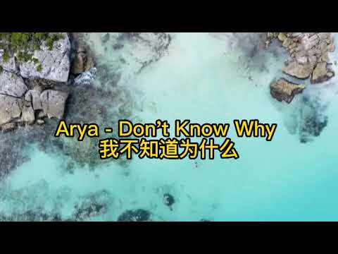 (with Lyrics)Arya - Don't Know Why [NCS Release](中英文歌词)