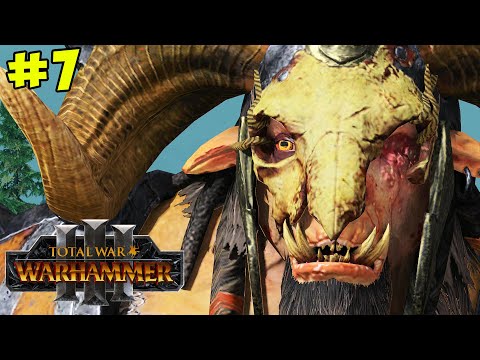 Culling The Herd! | Total War: WARHAMMER 3 Coop w/ CaptainShack #7