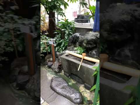 失せ猫祈願〜三光稲荷神社参拝