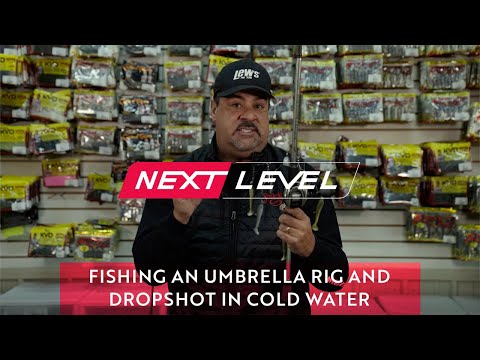 How to Fish an Umbrella Rig and/or Dropshot in Cold Water - @MarkZonaFishing [NEXT LEVEL]