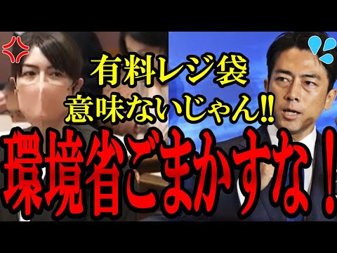 【小野田紀美】進次郎の愚策！意味なかったレジ袋有料化！小野田紀美議員が環境省を問い詰める！「プラスチックって本当に悪なの？」【小泉進次郎】【総裁選】