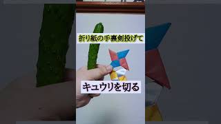 【折り紙の手裏剣でキュウリ🥒を切る】