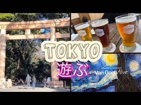 【東京Tokyo🇯🇵1日観光】神社もアートも楽しんでかっぱ橋から夜景までよくばり1day sightseeing