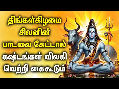 LORD SHIVA BLESSES ALL YOUR POSSESSIONS | Lord Shivan Devotional Songs | Lord Shiva Tamil Songs