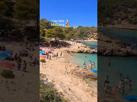 Mallorca ⛱️ Cala Vells 🏖 MAGALUF ❤️ El Mago