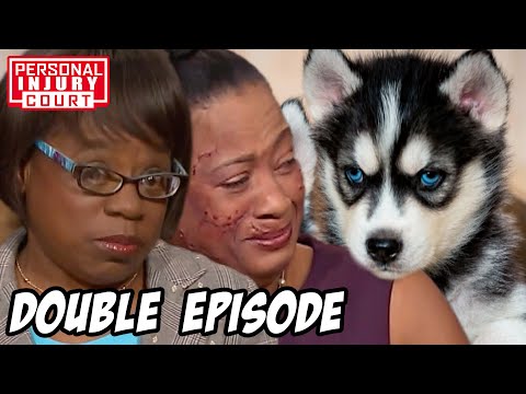 Cute Puppies Or Vicious Beasts - Up To $280,000 Cases | Double Episode | Personal Injury Court