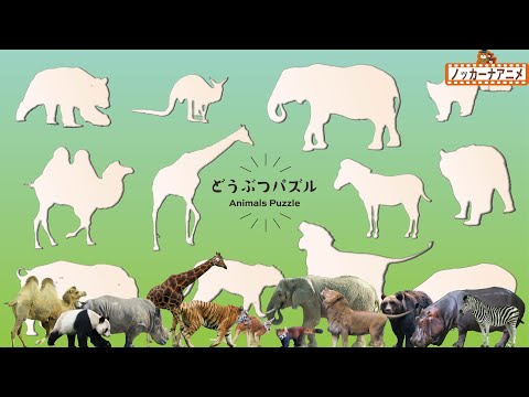 リアルな動物パズルであそぼう！知育アニメ【赤ちゃん・子供向け】Real animals puzzle for kids