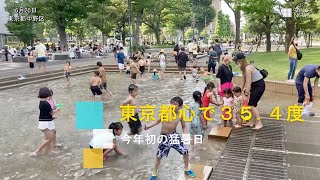 東京、今年初の真夏日