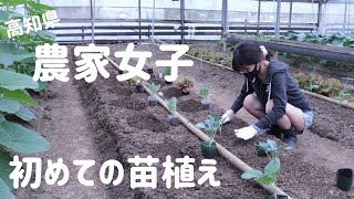 【農業女子】うね作り、苗植え、水やり【なな姉/高知県】