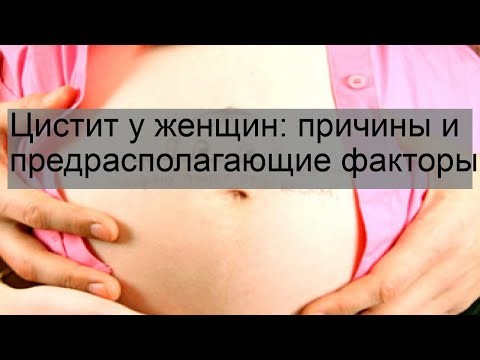 Цистит у женщин: причины и предрасполагающие факторы