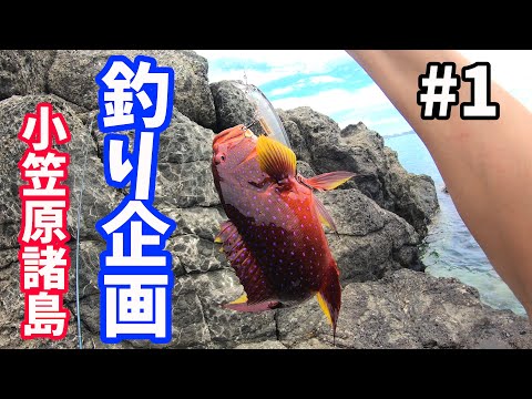 【ルアー釣り】初めてのジギング、アドバイスお願いします(小笠原諸島 母島) vol.1