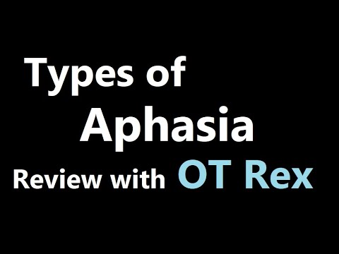 OT Rex - Types of Aphasia (Part 2 from Stroke Video)