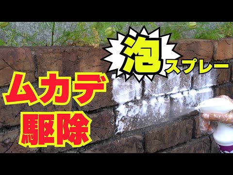 ムカデ駆除 ムカデ対策！ムカデを泡で駆除 スプレーするだけ簡単ムカデ対策 泡になる殺虫スプレー ムカデ泡deKILL！【ムカデ駆除】【ムカデ侵入防止】