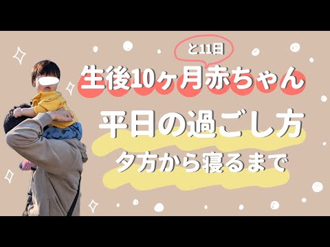 【生後10ヶ月】夕方から寝るまでは、こんな感じ👶離乳食後期/赤ちゃんと犬