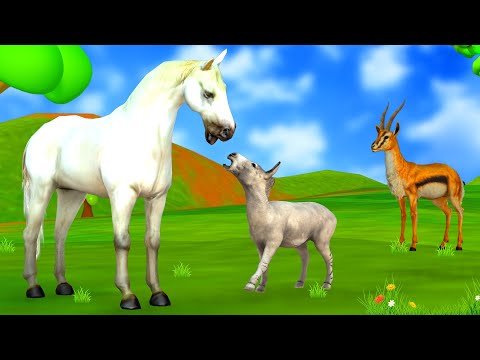 गधे की माँ घोड़ी Donkey Mother Horse Gadhe Ki Maa Ghodi Ki Kahani Panchatantra Moral Stories In Hindi