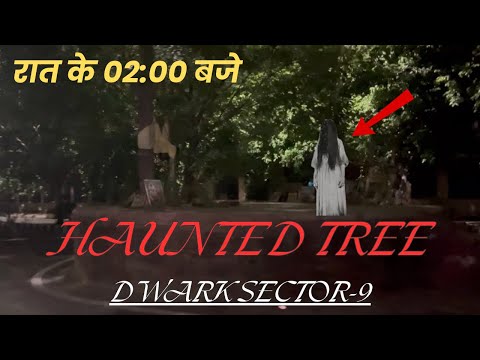 Exploring Dwarka Sector 9 at 02:00 AM l Haunted Tree Night l Delhi’s most haunted place 👻