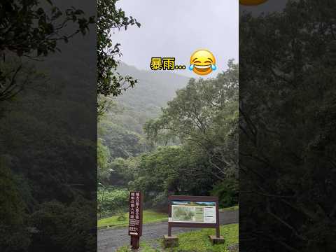 上陽明山結果暴雨⛈️😂