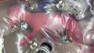 Artificial Womb Provides Hope for Premature Babies