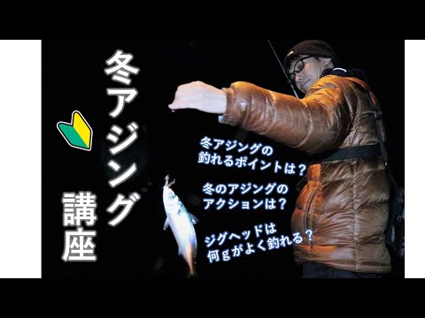 【初心者必見】冬アジングの釣れるポイント選び、アクション、ジグヘッドの重さ選びのコツとは？