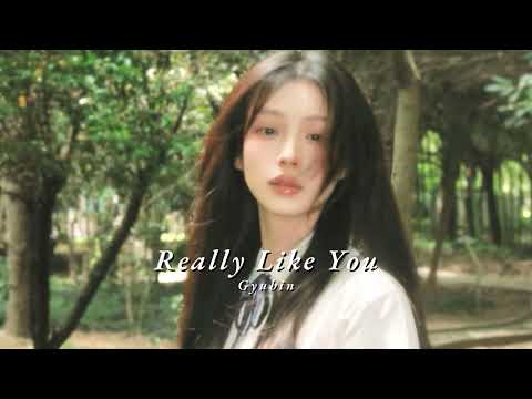 Vietsub | Really Like You - Gyubin | Lyrics Video