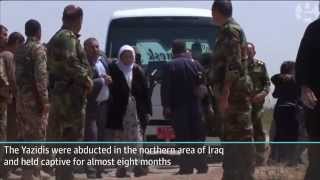 Isis releases more than 200 captive Yazidis in Iraq