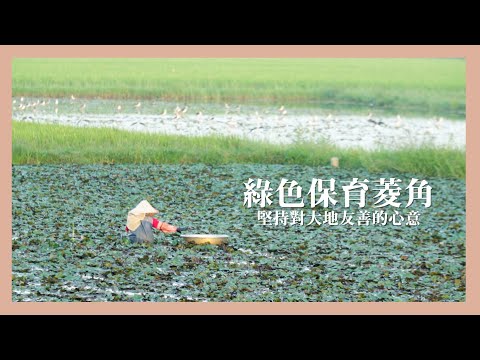 綠色保育菱角．堅持對大地友善的心意 ー【里仁綠保蔬果】