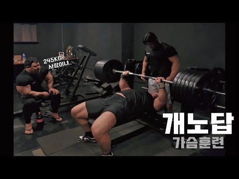 개노답 가슴 훈련