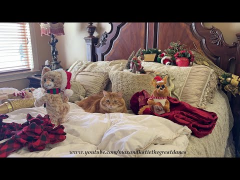 Funny Cat Channels His ET With the Christmas Toys & Decorations