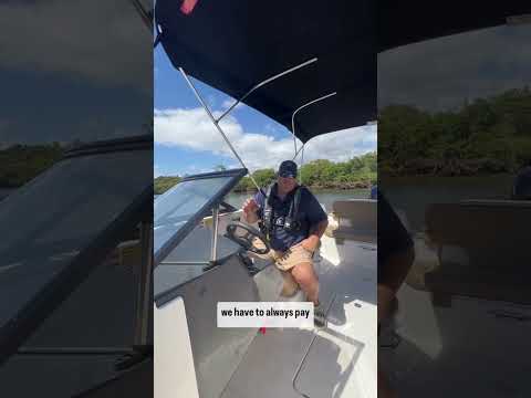 How to safely beach your boat. #Shorts #Boat