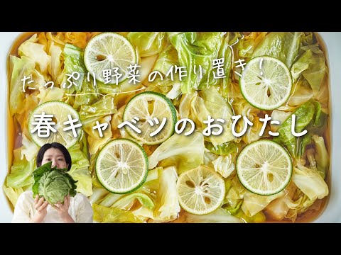 【春野菜の作り置き】春キャベツのおひたしのレシピ・作り方