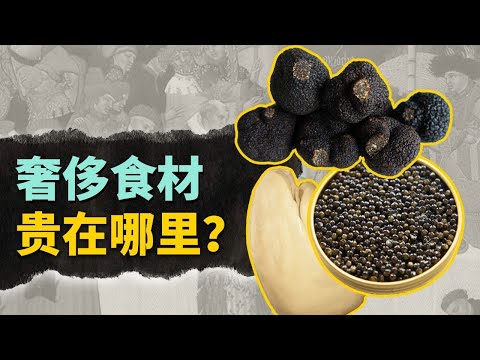 歷史上價值100只羊的神級美味？歐洲貴族為啥為它們著迷？【叮叮貓不咬人】