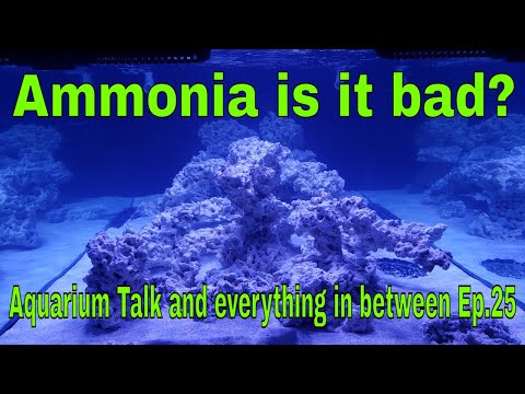 Ammonia is it bad?