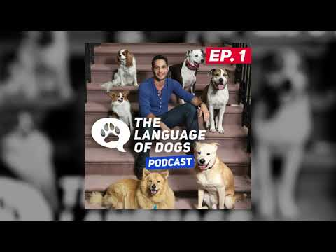 Welcome To The Language of Dogs Podcast  Ep 1