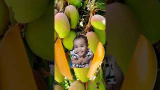 🥭🥭🥭#SWEETMANGO#FUNPLAY#SATISFYING#SHORT