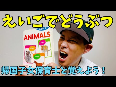 英語で動物を言ってみよう／よしあせんせい（目指せインターナショナル）