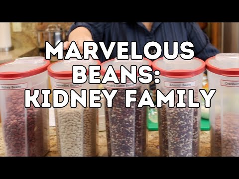 Marvelous Beans: Kidney Family