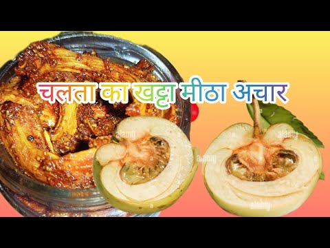 चलता का अचार ||एक दम स्वादिष्ट खट्टा और मीठा ||सेहत के लिए वरदान||elephant fruit pickle@picklerecipe