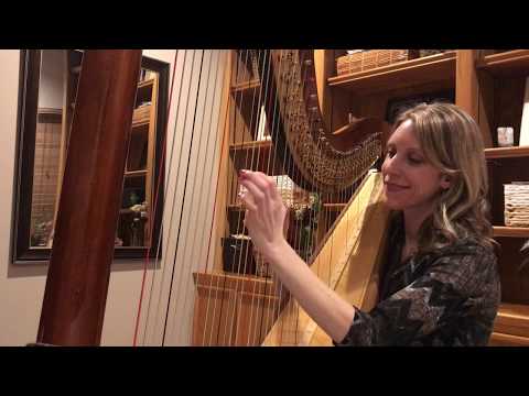 7 Rings by Ariana Grande  ~ Harpist Tiffany Envid