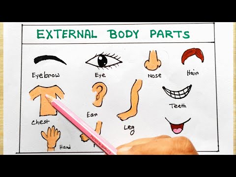 Human body parts easy | How to draw Human body parts | Human body parts for school project