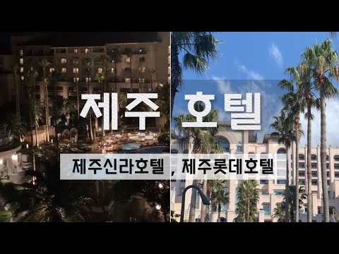 해외감성 💚 제주 신라호텔 & 제주 롯데호텔