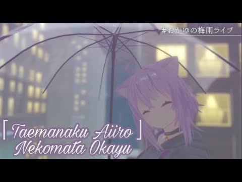 Nekomata Okayu「Taemanaku Aiiro」3D Live Cover