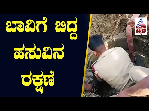 ಬಾವಿಗೆ ಬಿದ್ದ ಹಸುವಿನ ರಕ್ಷಣೆ | Gadag News | Suvarna News | Kannada News