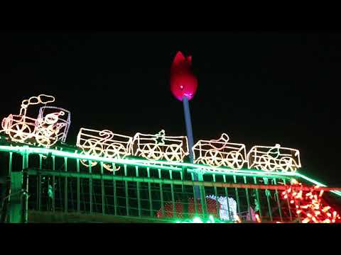 20201223　砺波　チューリップ公園KIRAKIRAミッション2020