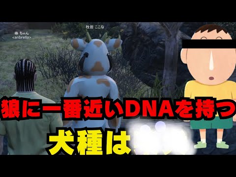 【ストグラ】雑学王の棒ちゃん【ファン太/切り抜き】