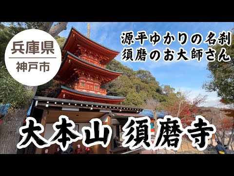 【大本山 須磨寺】源平ゆかりの名刹 大師縁日 2024.12.21