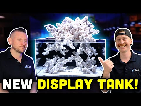 BRAND NEW 50 Gallon Saltwater Waterfall Reef Aquarium!