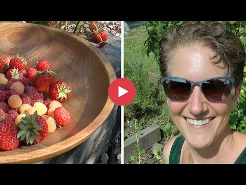 Trinity's Midsummer Fruit Garden Vlog in Glastonbury