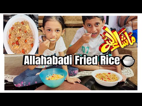 Allahabadi fried 🍚 Rice| Jab ghar main ko vegetable Na ho | Only Egg and Chicken Rice 😋So yummy 🤤